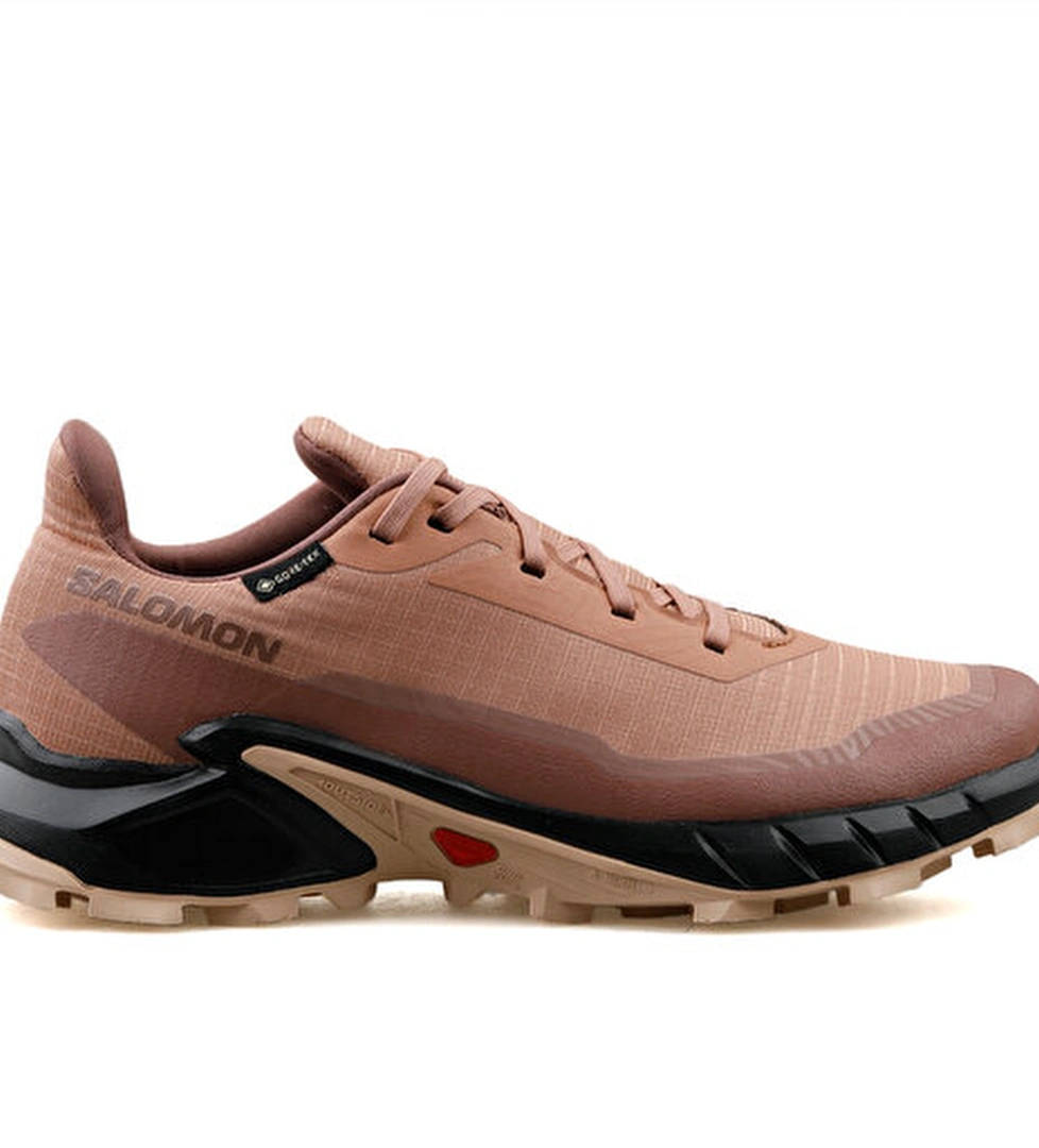 Salomon Koşu Ayakkabısı Alphacross 5 Gtx W