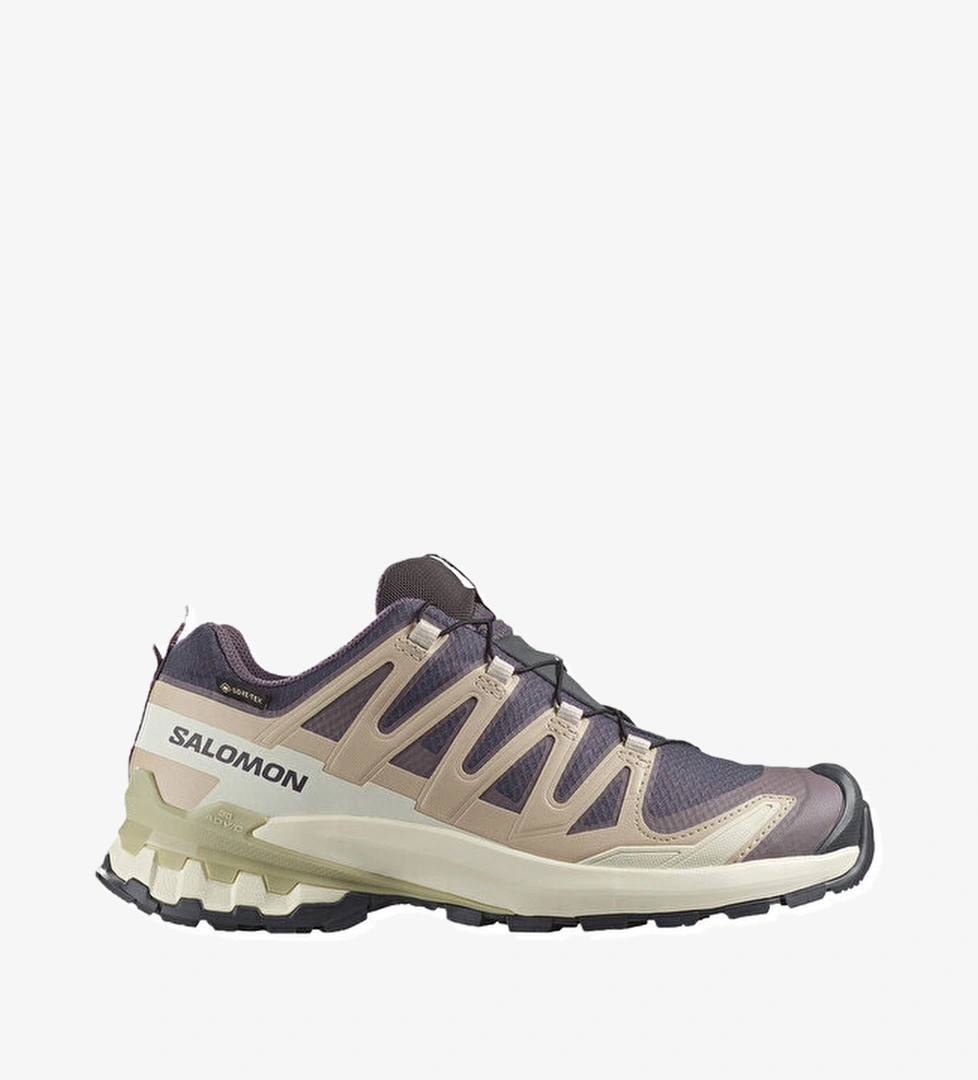 Salomon Salomon Ayakkabı Outdoor Ayakkabısı XA PRO 3D V9 GORE TEX model görseli