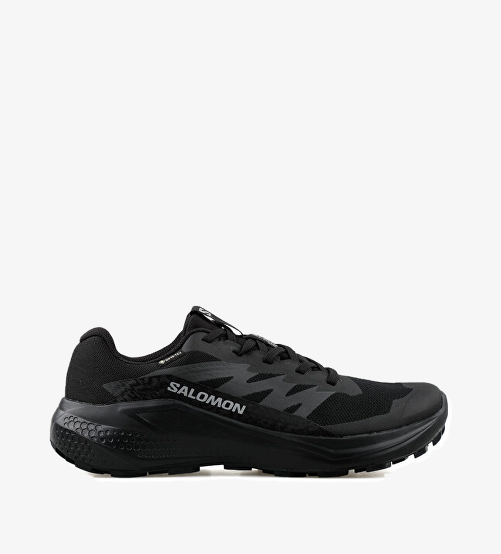 Salomon Koşu Ayakkabısı ALPHAGLIDE GTX