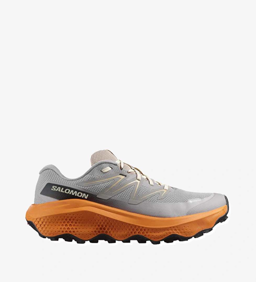 Salomon Salomon Ultra Flow Erkek 2 Koşu Gore-tex Ayakkabısı model görseli