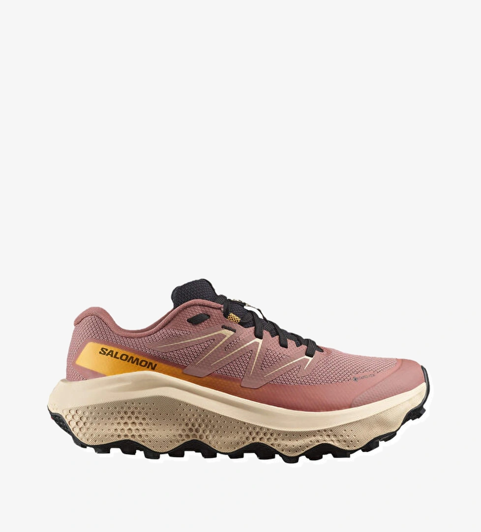 Salomon Koşu Ayakkabısı ULTRA FLOW 2 GTX