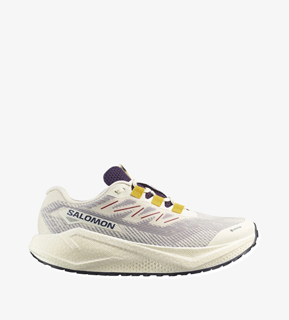 Salomon Salomon Koşu Ayakkabısı AERO BLAZE 3 GRVL GORE-TEX model görseli