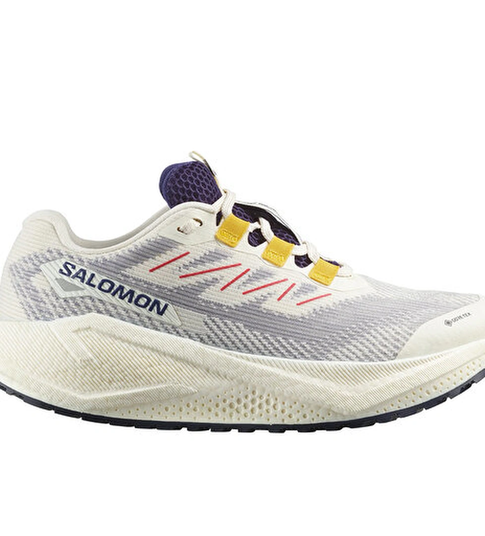 Salomon Salomon Koşu Ayakkabısı AERO BLAZE 3 GRVL GORE-TEX model görseli