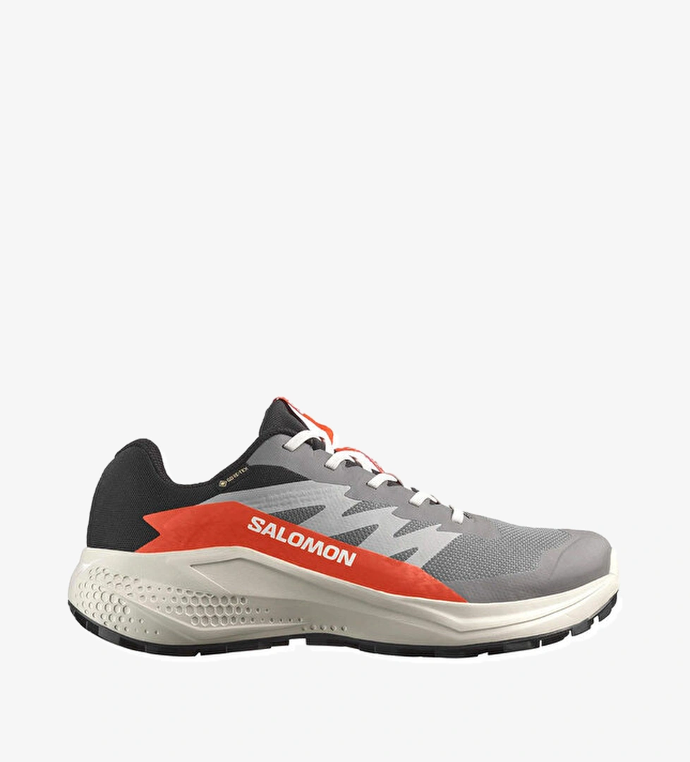 Salomon Koşu Ayakkabısı ALPHAGLIDE GORE-TEX