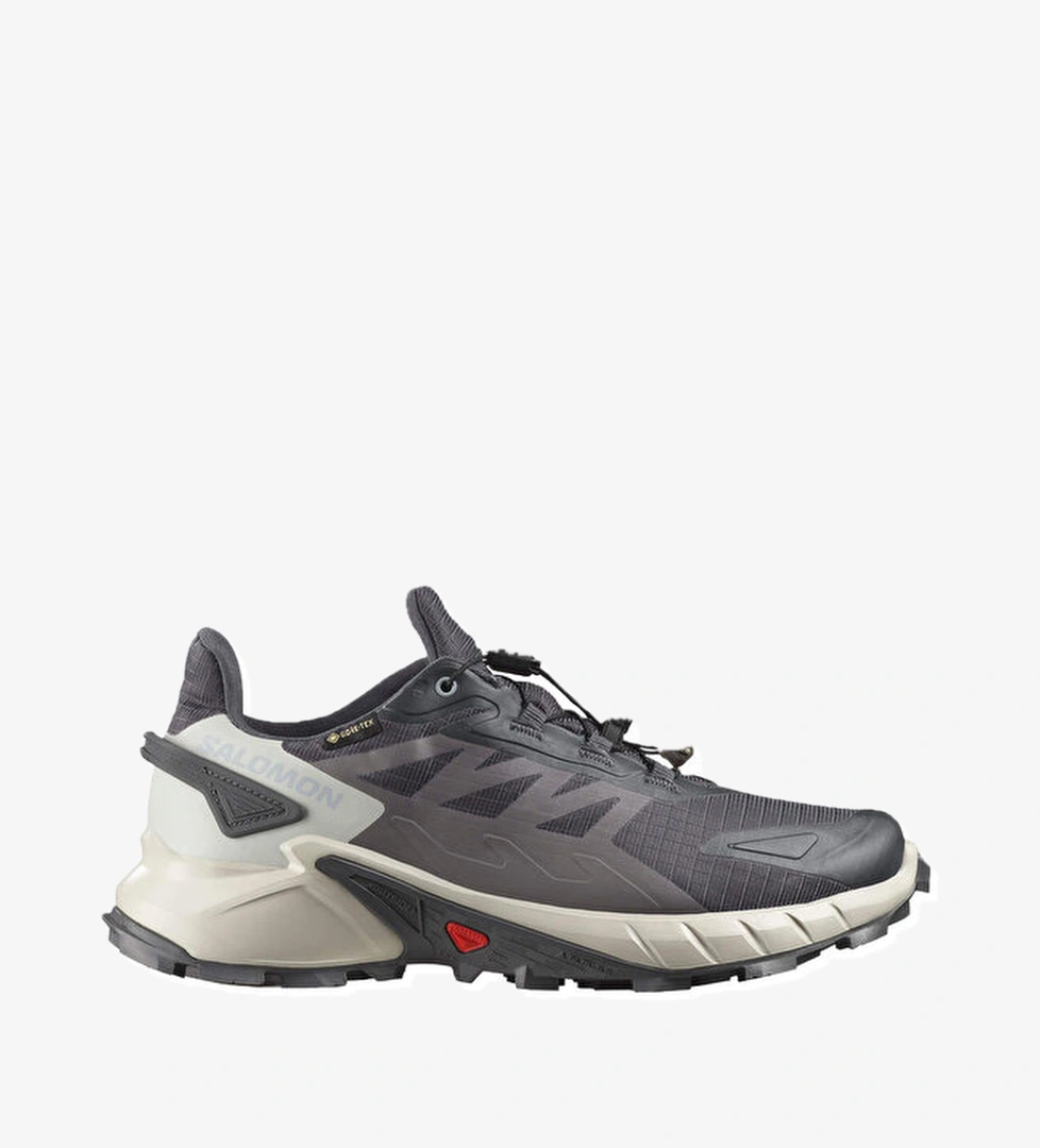 Salomon Gri Salomon Supercross 4 GORE-TEX