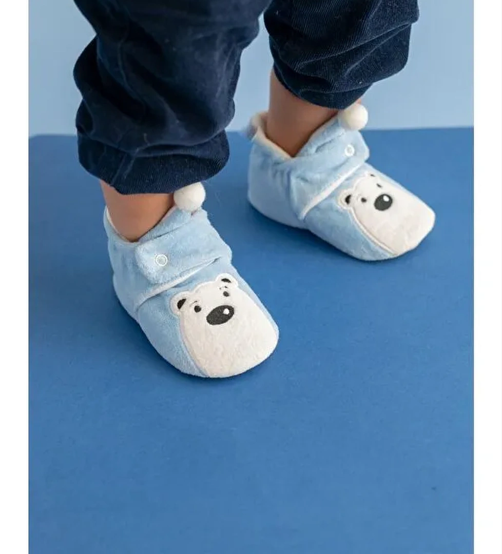 First Step First Step Kutup Ayisi