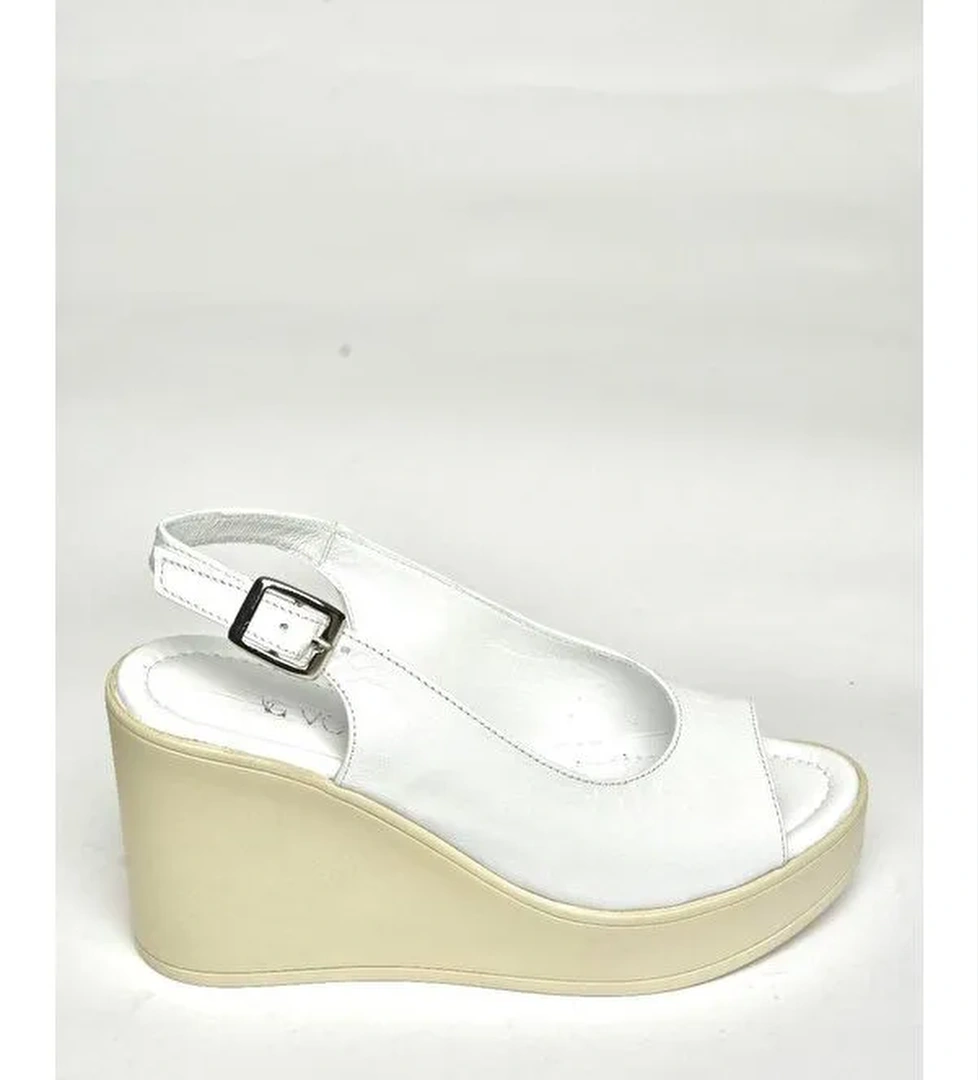 Fox Shoes Fox Shoes Dolgu