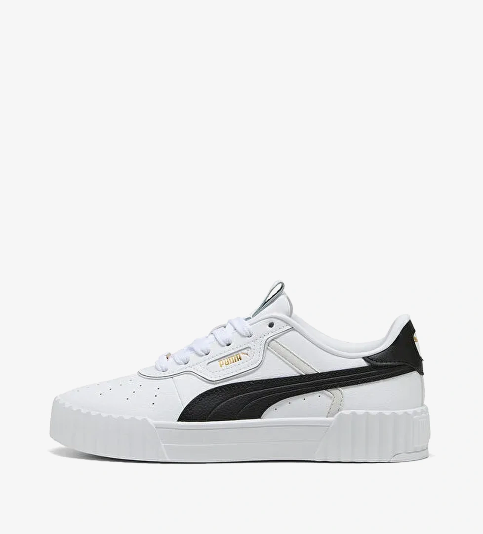 Puma Carina 3.0