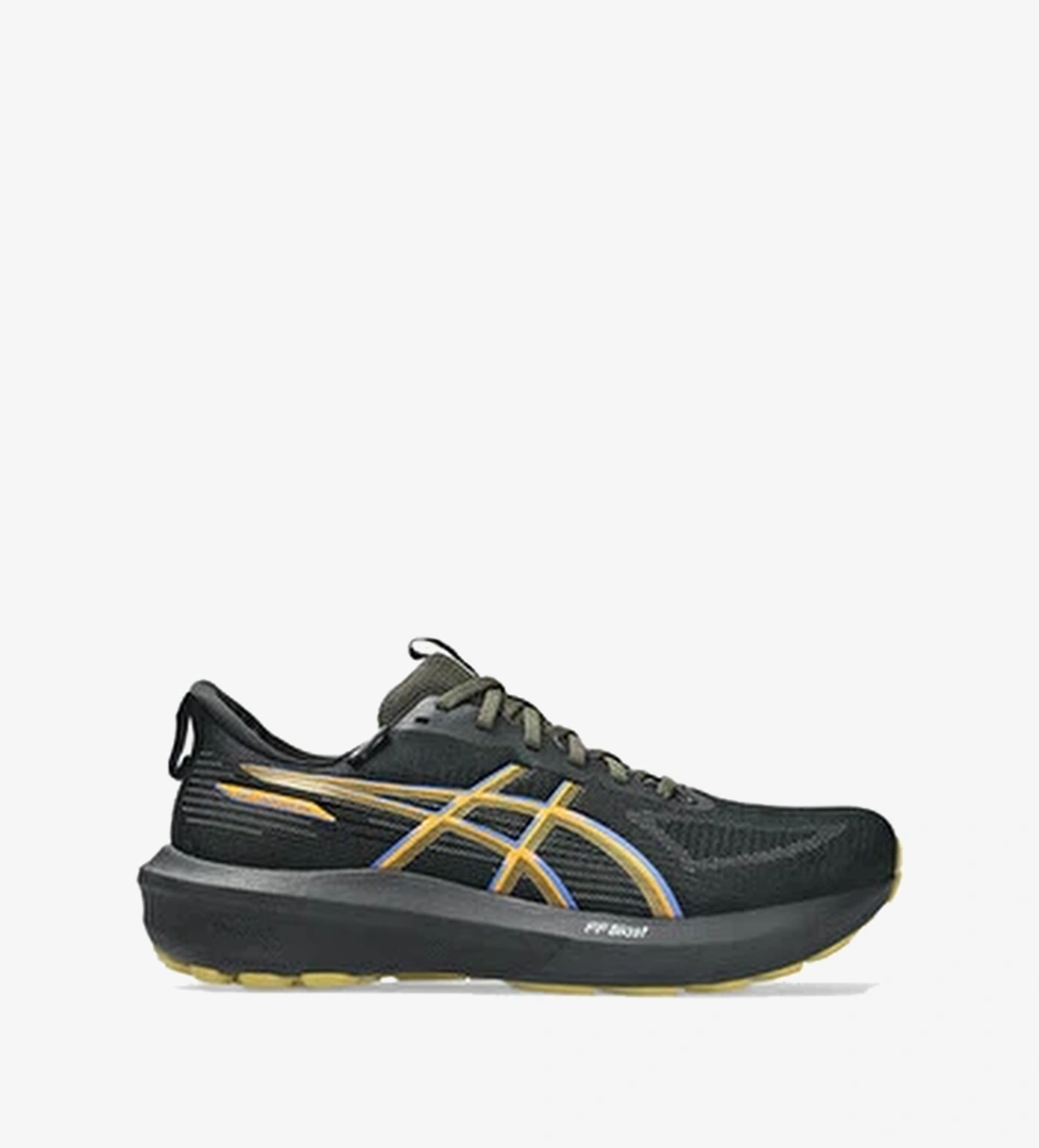 Asics Gt 1000