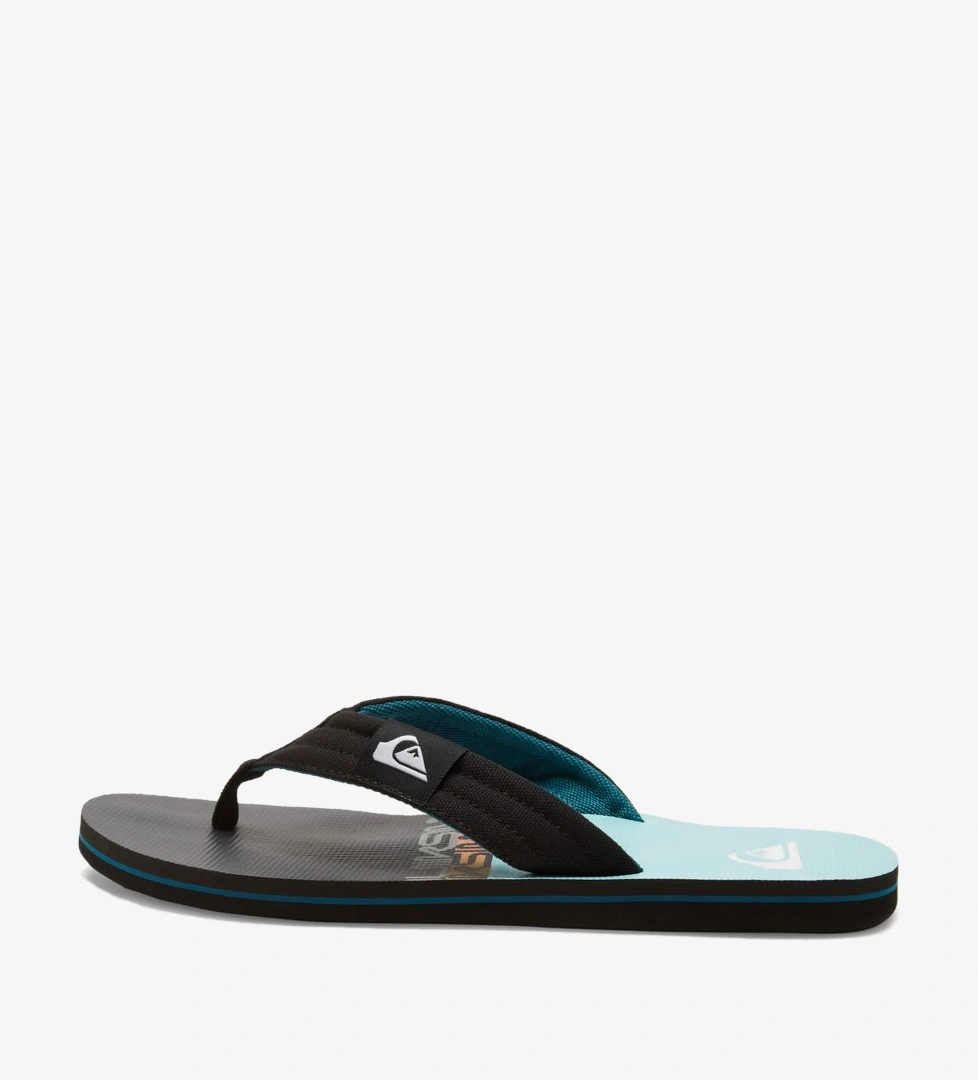Quiksilver Quiksilver Molokai Layback