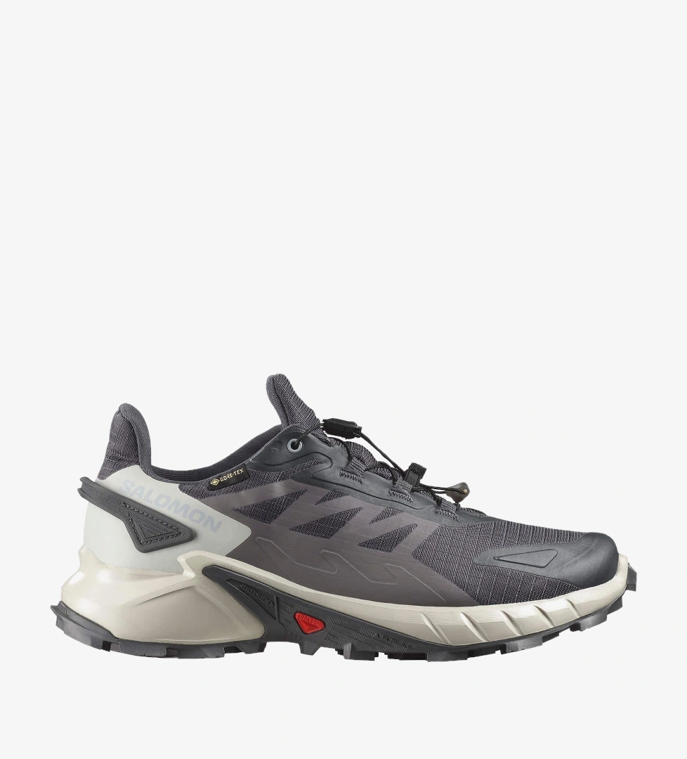 Salomon Gri Salomon Supercross 4 Gore-Tex