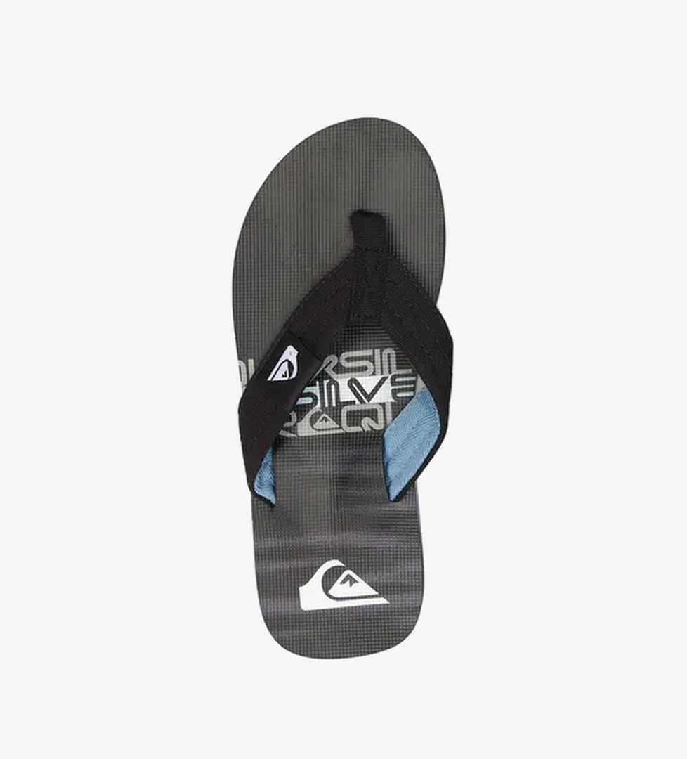 Quiksilver Quiksilver Molokai Layback II Erkek Siyah Terlik model görseli