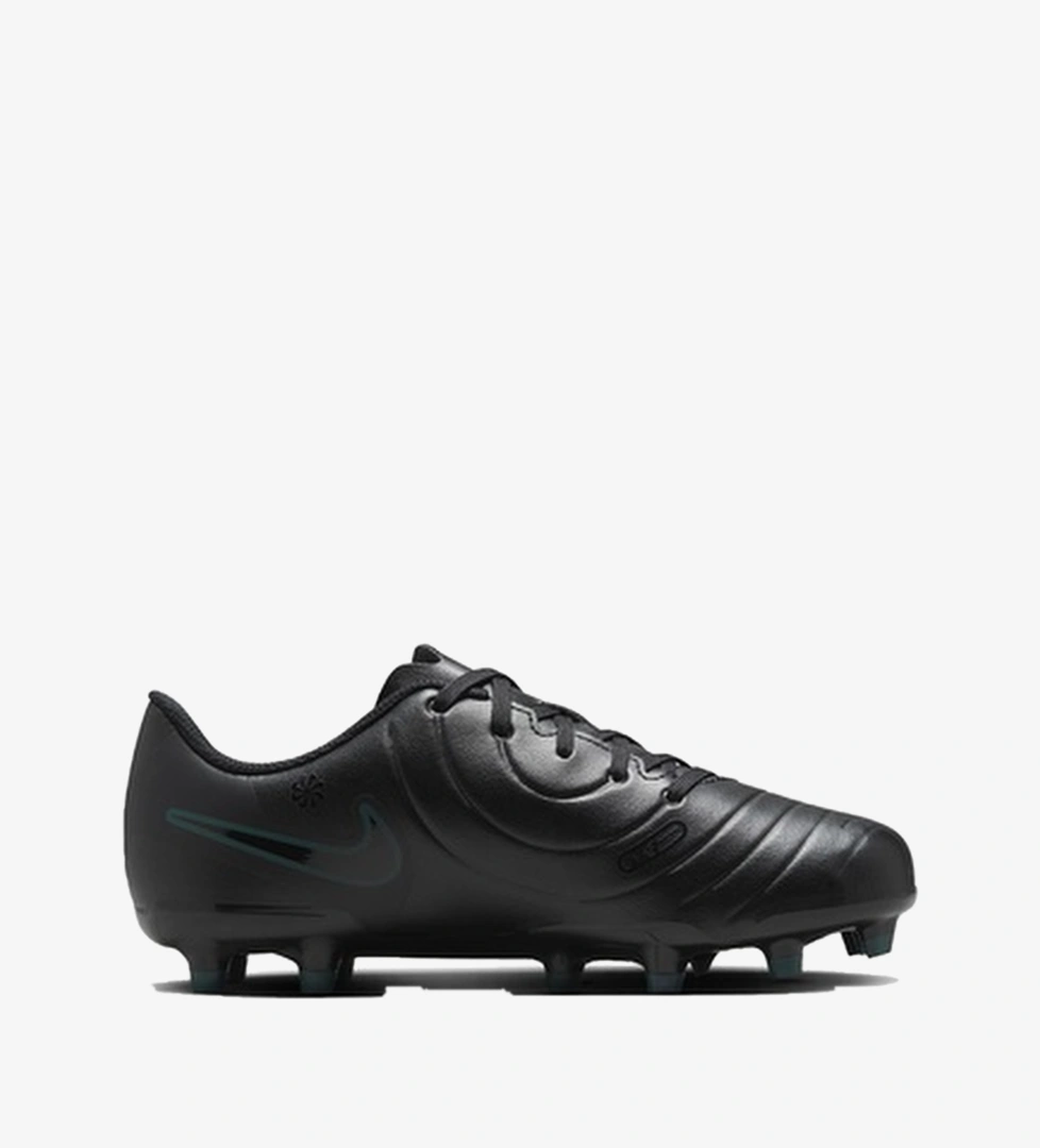 Nike Siyah Nike Legend 10 dv4352-002