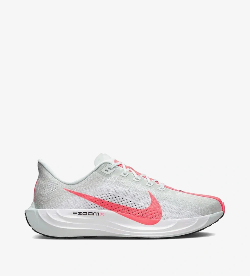 Nike Renkli Nike Pegasus Plus