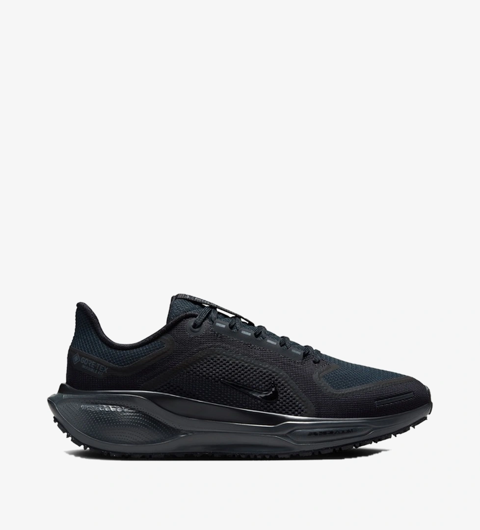 Nike Pegasus 41 Gore-Tex Kadın Siyah Koşu Ayakkabısı