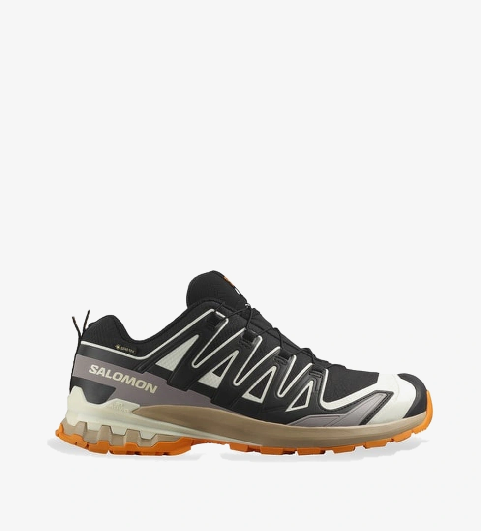 Salomon Xa Pro 3D V9 Gore-Tex Erkek Siyah Outdoor Ayakkabı