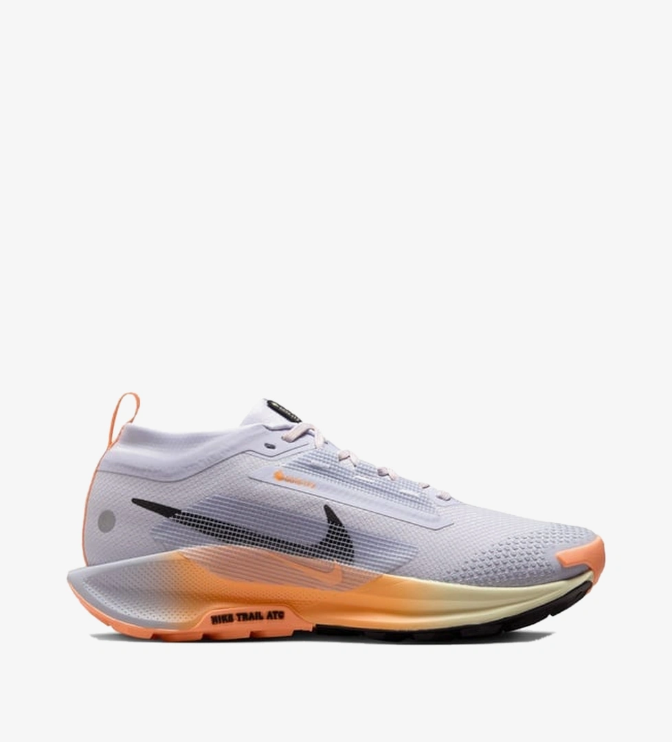 Nike Pegasus Trail 5 Gore-Tex Kadın Gri Koşu Ayakkabısı