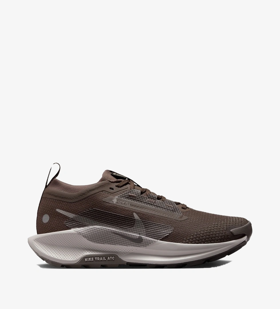 Nike Pegasus Trail 5 Gore-Tex Kadın Kahverengi Koşu Ayakkabısı