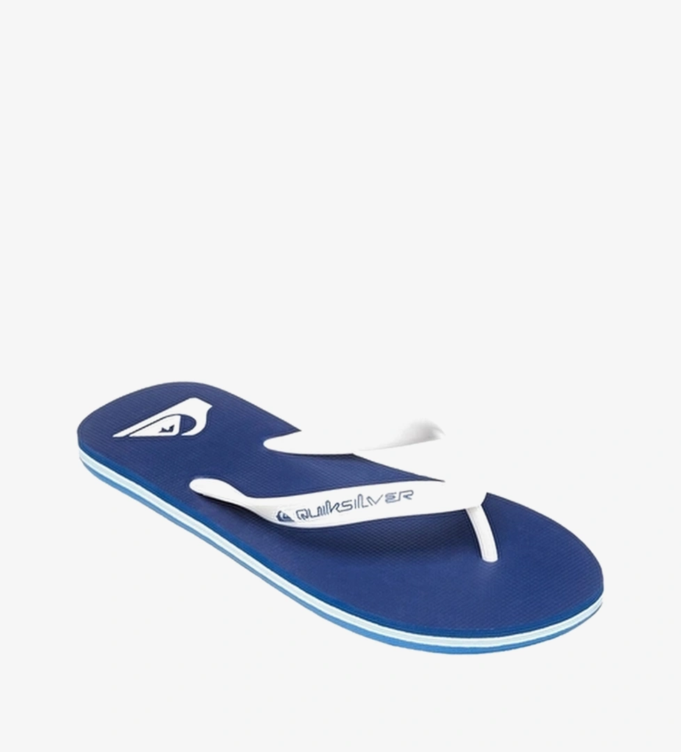 Quiksilver Erkek Molokai Core Terlik AQYL101325 Lacivert