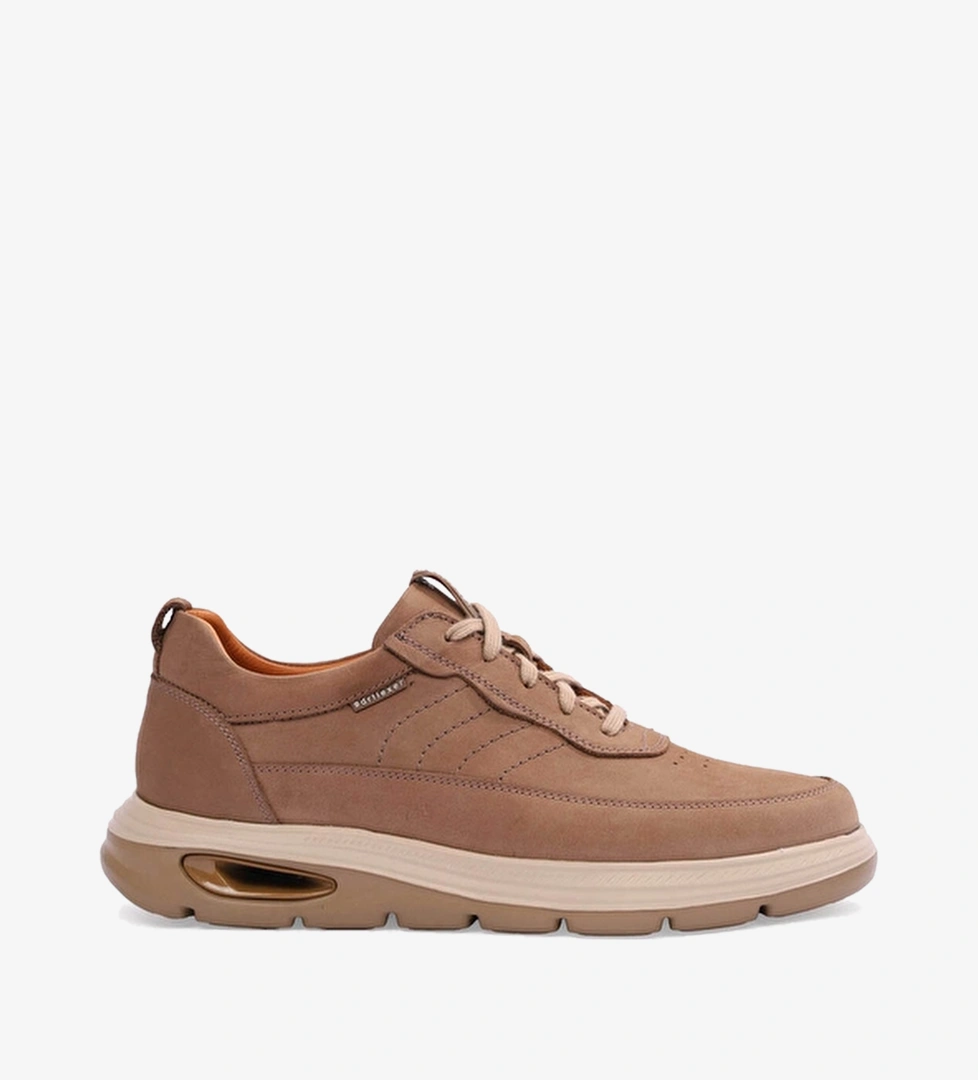 Dr. Flexer Dr. Flexer Camel