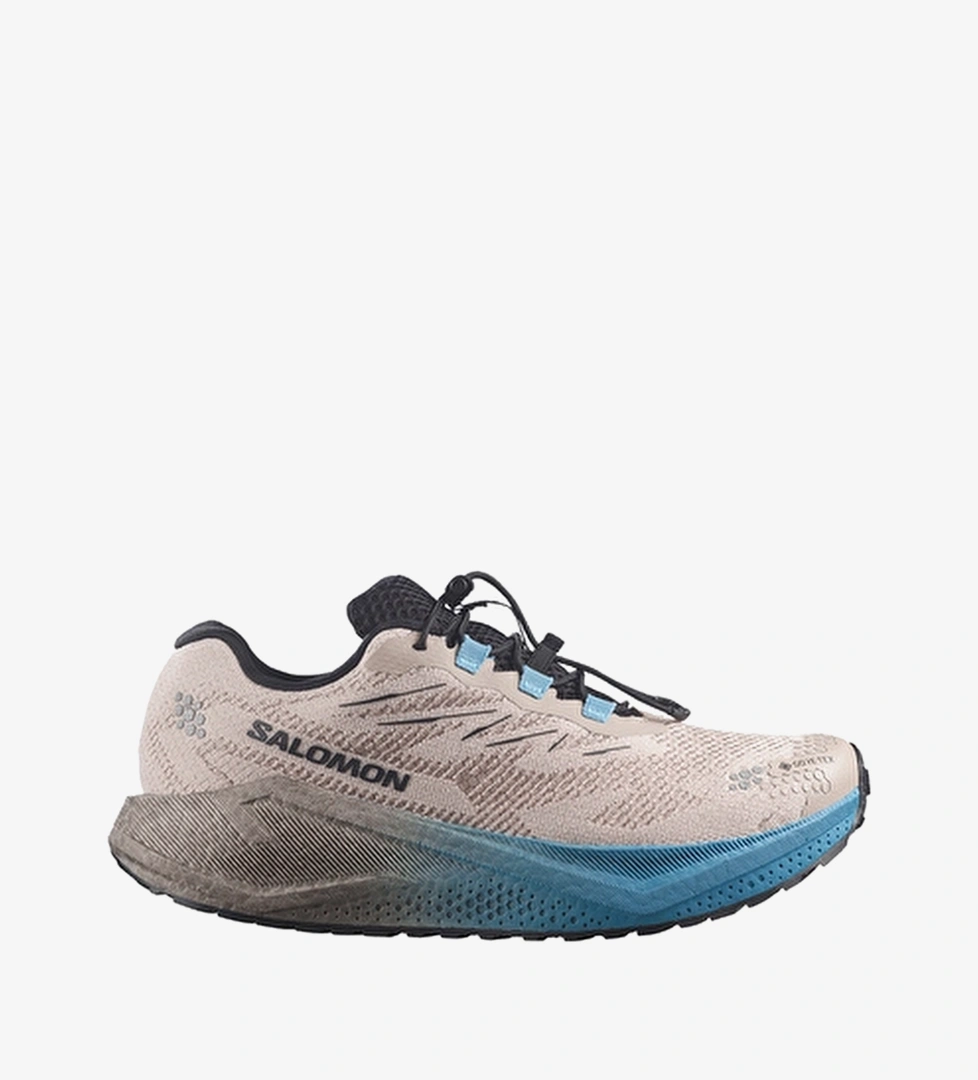 Salomon Erkek Aero Blaze 4 GRVL GTX Ayakkabı L45403300 OTBN Bej