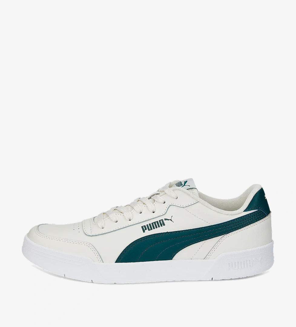 Puma Gri Puma Caracal