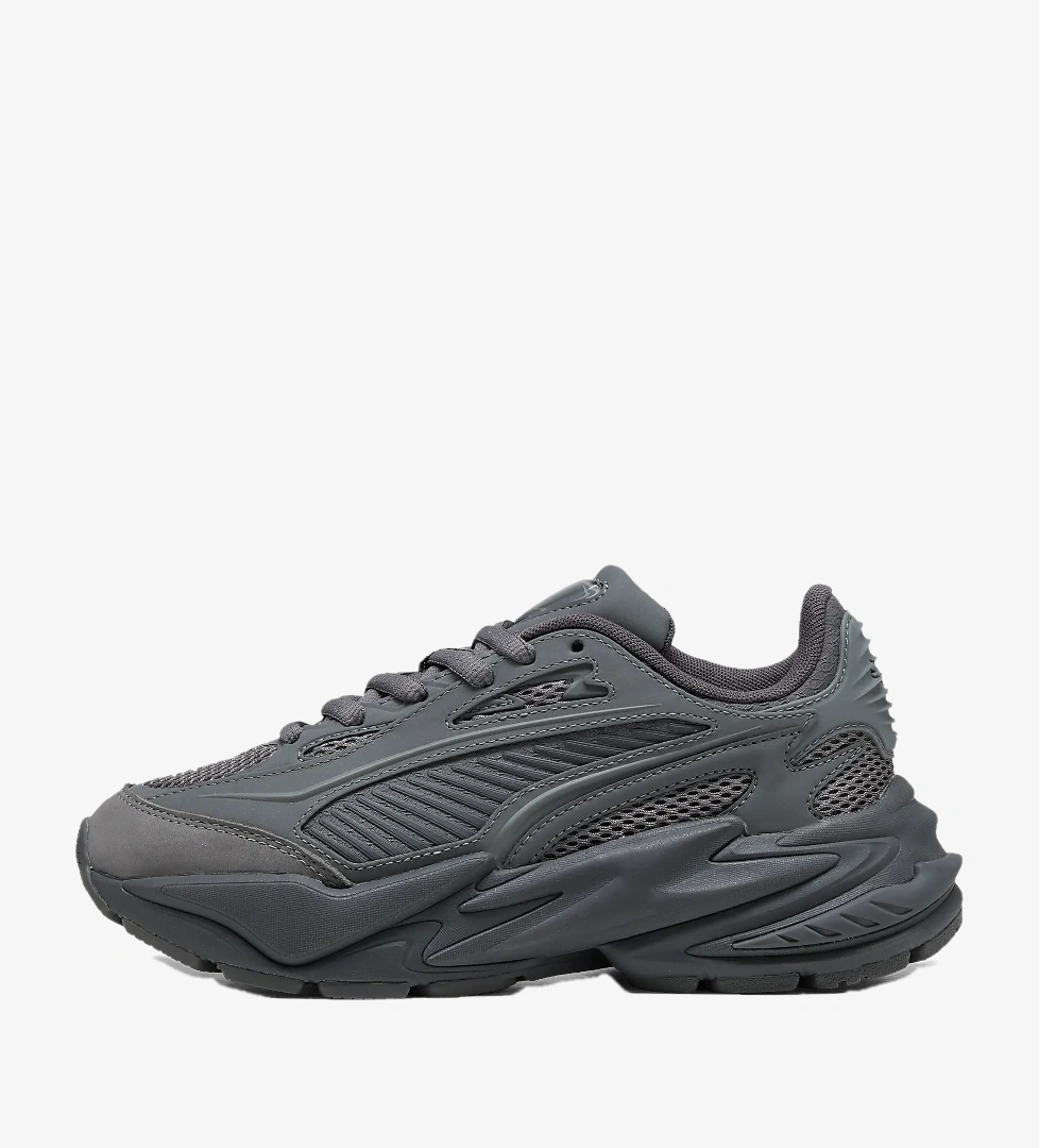 Puma Gri Puma Rs