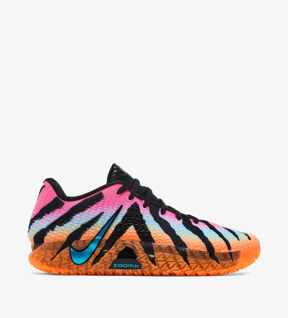 Nike Çok Renkli Nike Ja