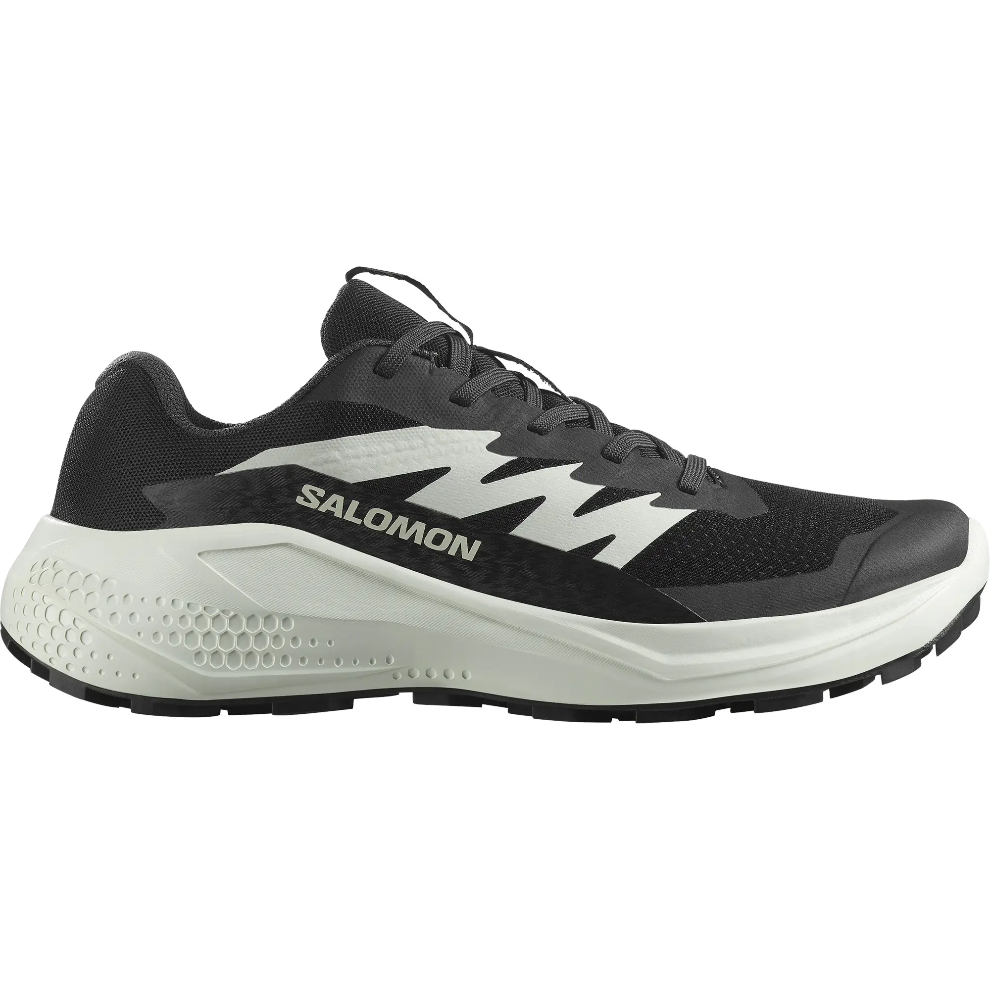 Salomon ALPHAGLIDE W PATİKA KOŞUSU AYAKKABISI L47801500