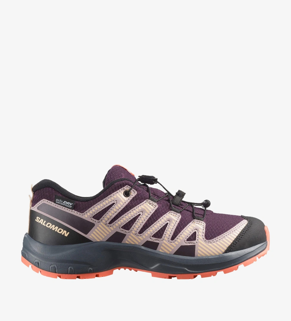 Salomon Mor Salomon Xa Pro V8