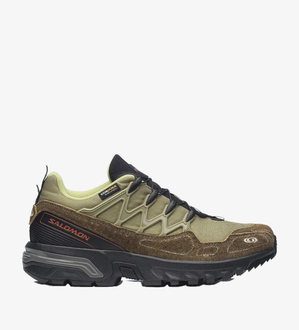 Salomon Acs