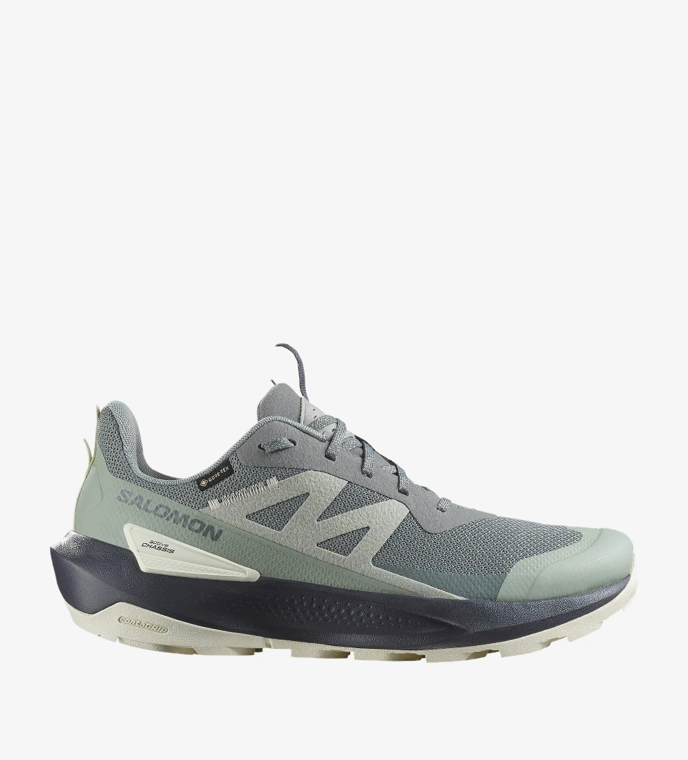 Salomon Gri Salomon Elixir Activ Goretex