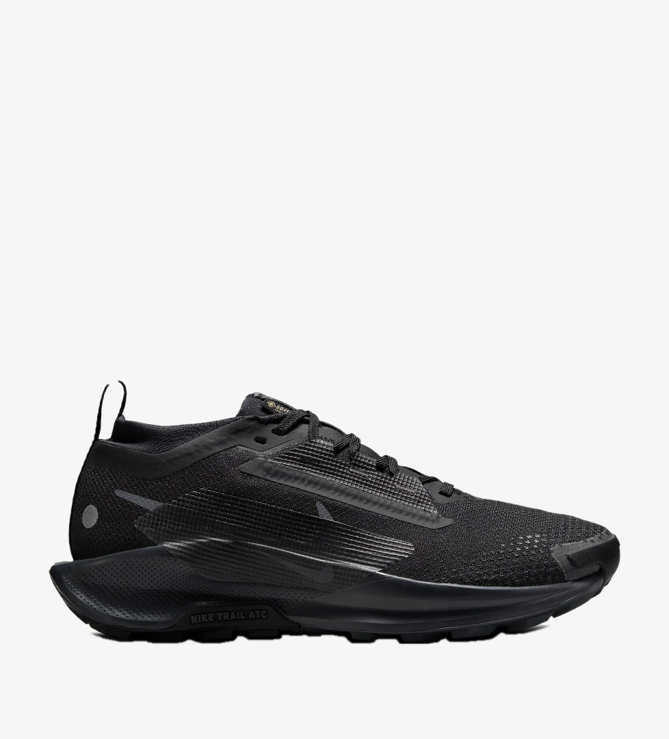 Siyah Nike Pegasus 5
