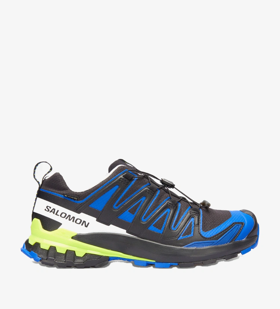 Salomon Siyah Salomon Xa Pro 3d V9 Gore Tex