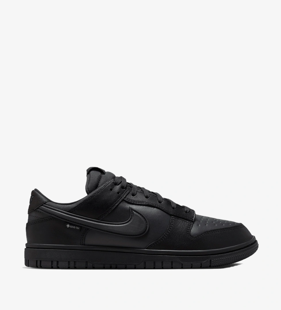 Nike Dunk Low GORE-TEX