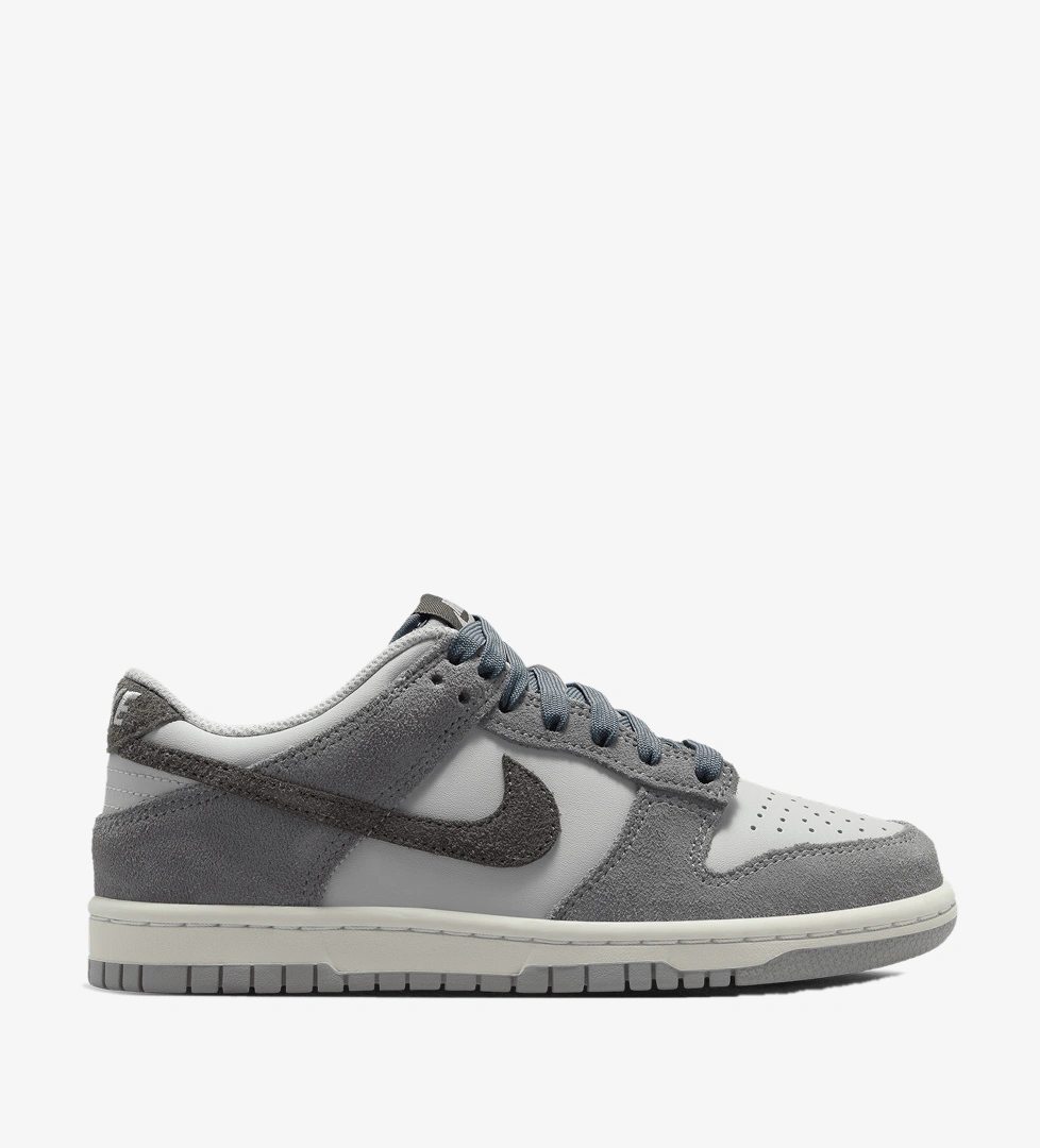 Nike Dunk Low SE (Gs)