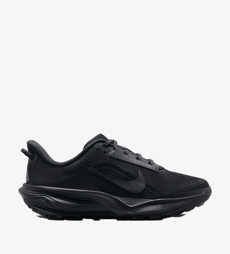 Siyah Nike Acg Pegasus