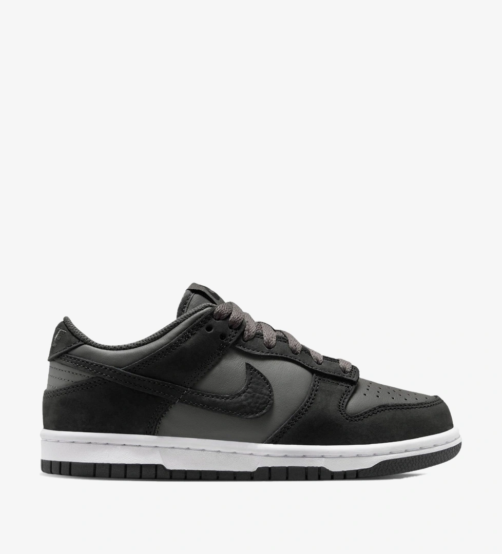Nike Dunk Low SE (Gs)
