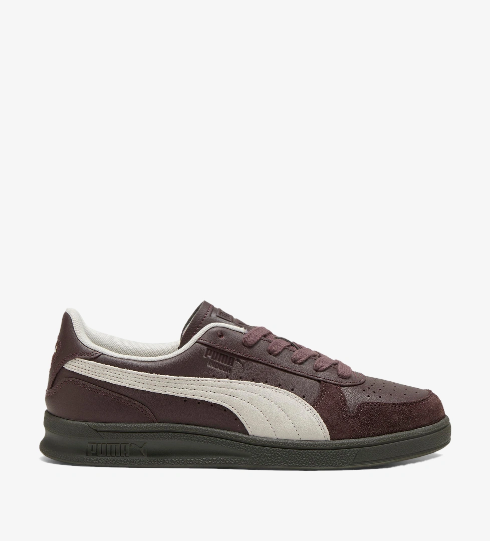 Puma Indoor