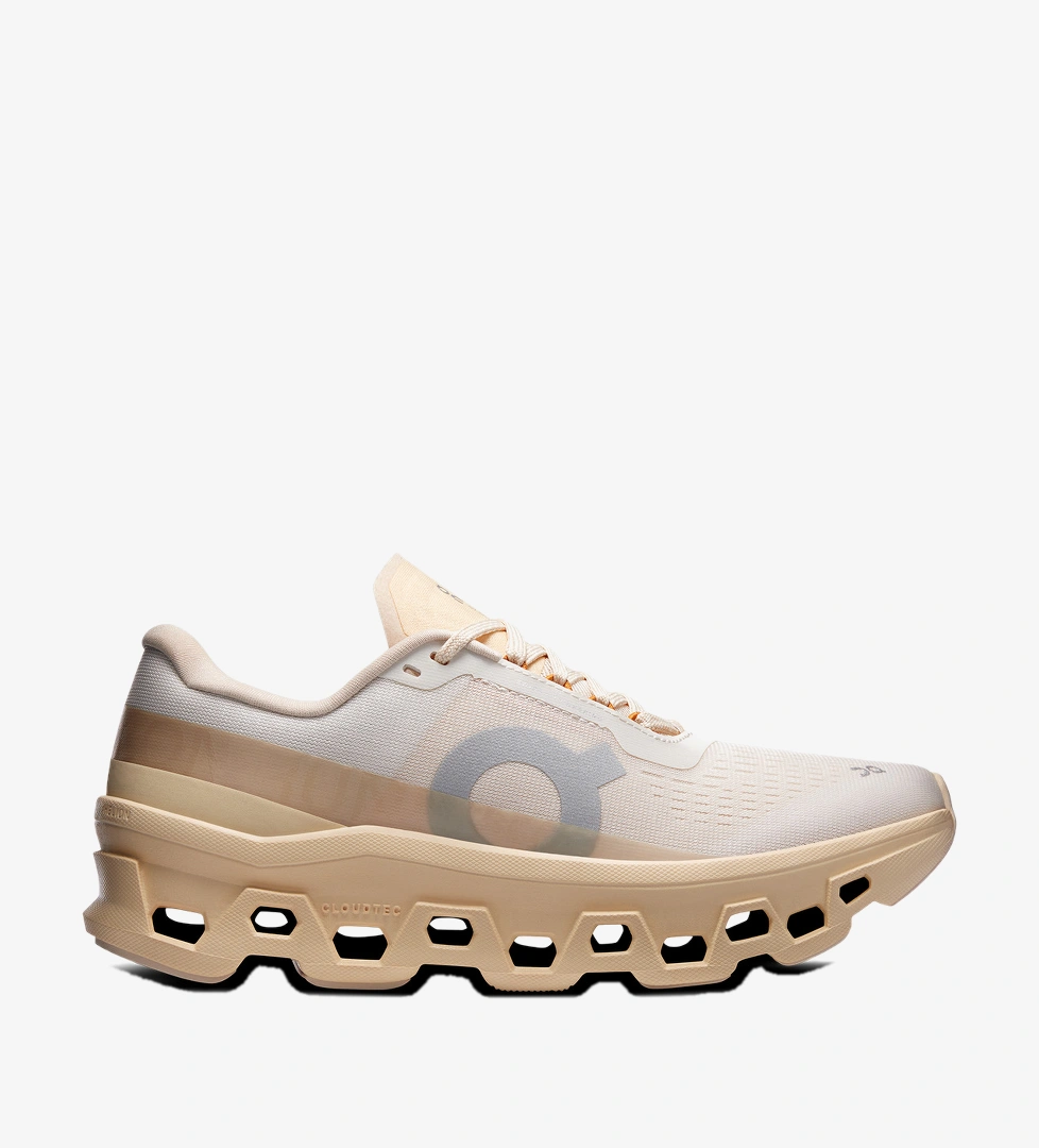 On Cloudmonster 1