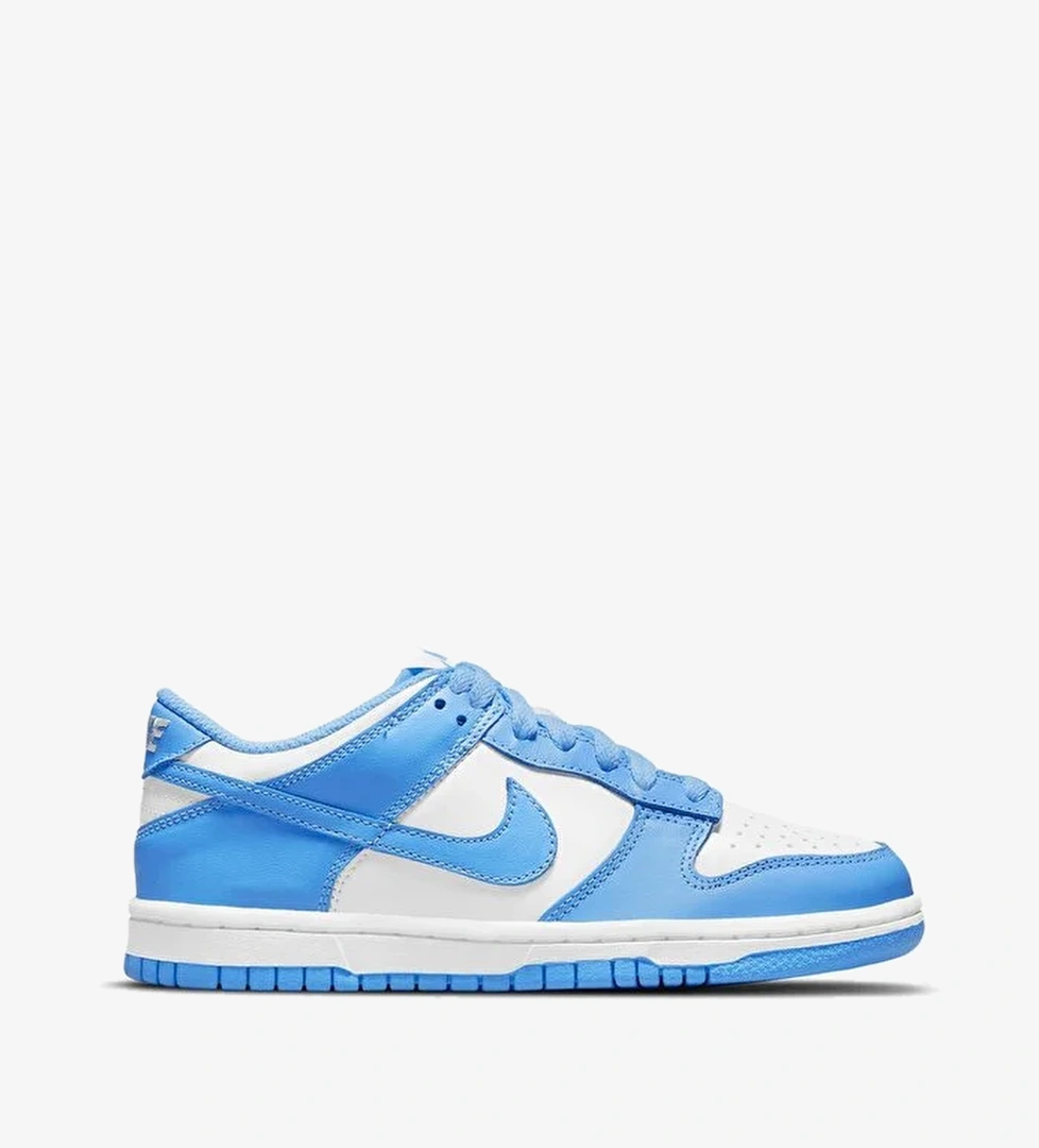 Nike Dunk Low (Gs)