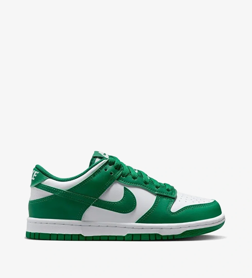 Nike Dunk Low (Gs)