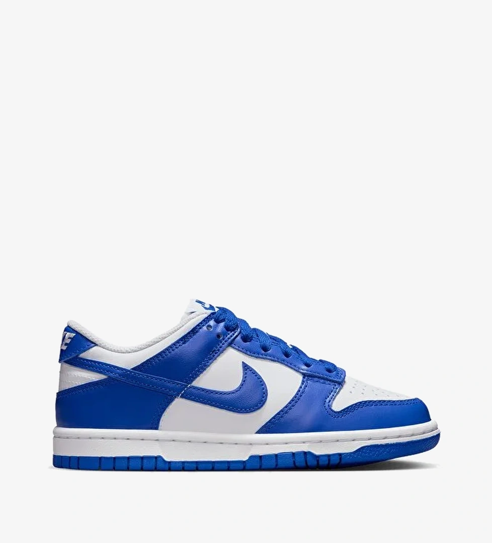 Nike Dunk Low (Gs)