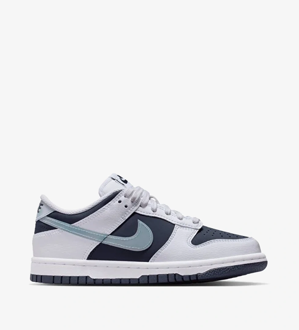 Nike Dunk Low (Gs)