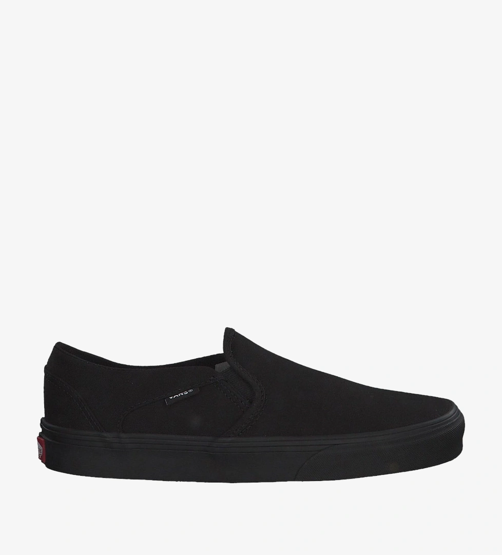 Vans Kadın Günlük Ayakkabı WM Asher VN0A45JM1861