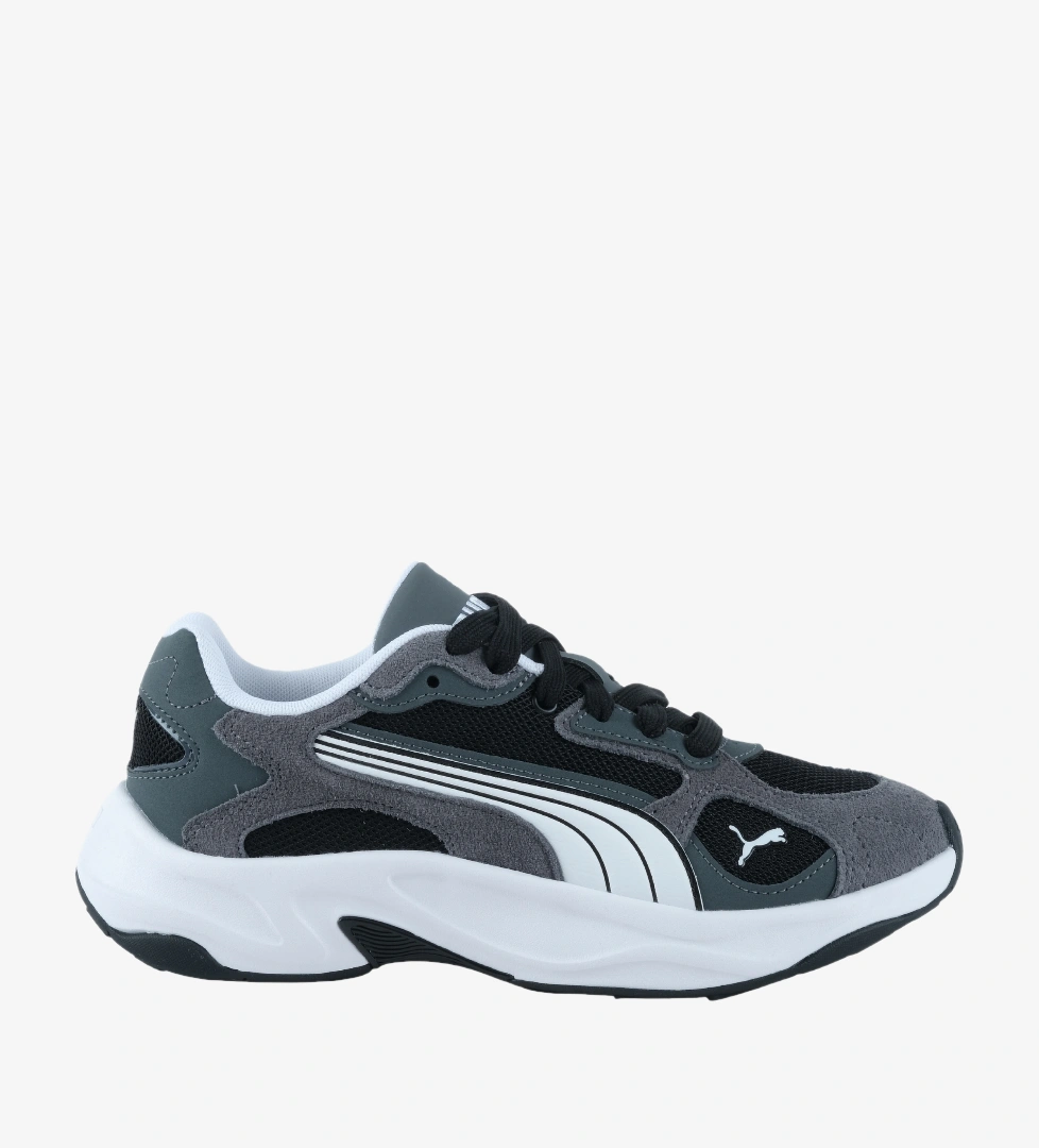 Puma Siyah Puma Insphere