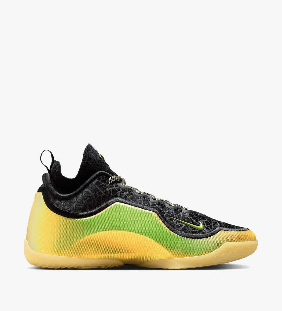 Nike Lebron XXIII Elite
