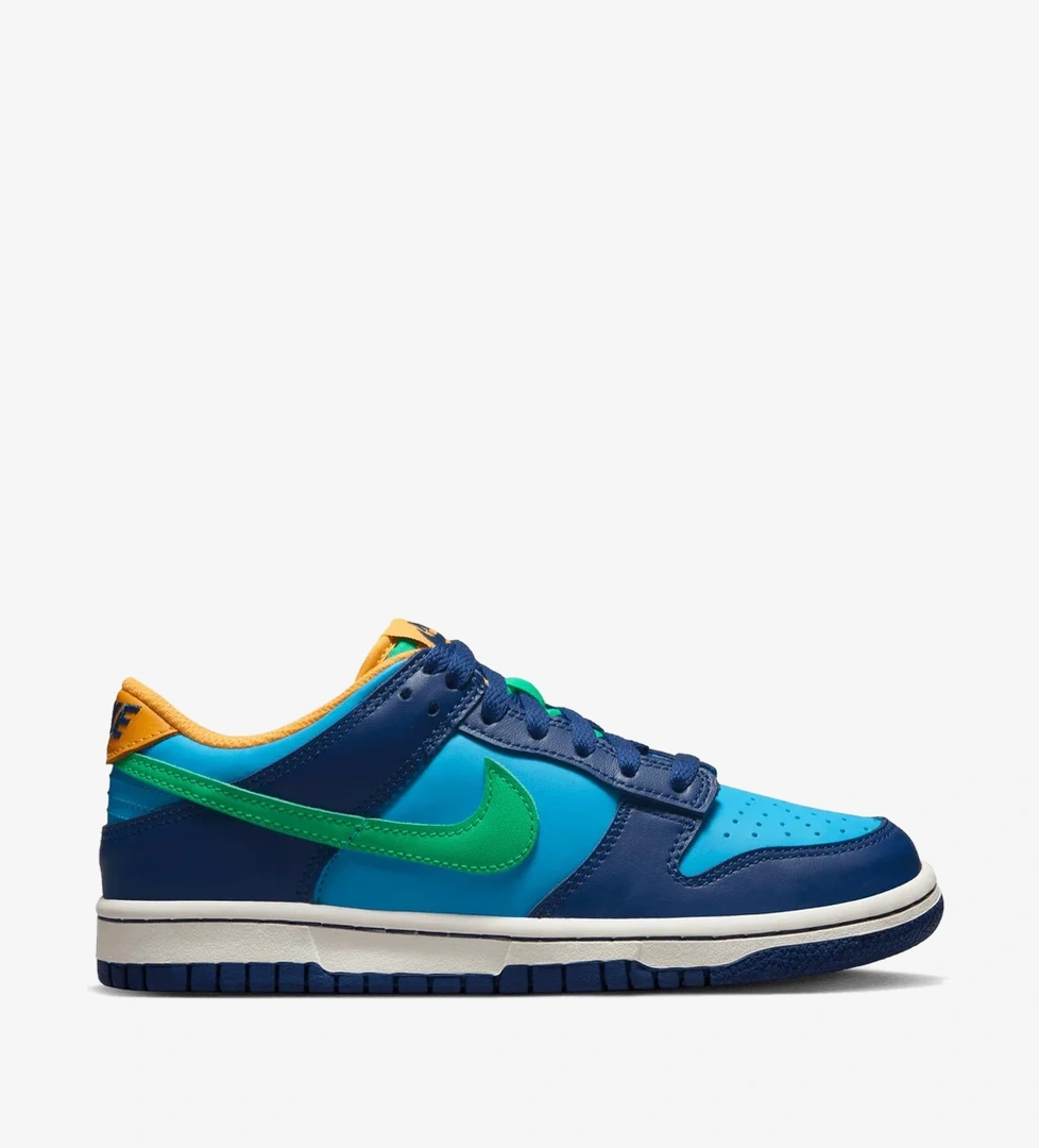 Nike Dunk Low (Gs)