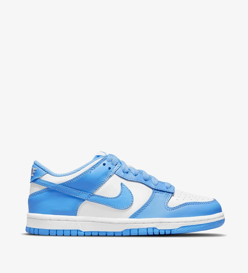 Nike Nike Dunk Low (gs) model görseli