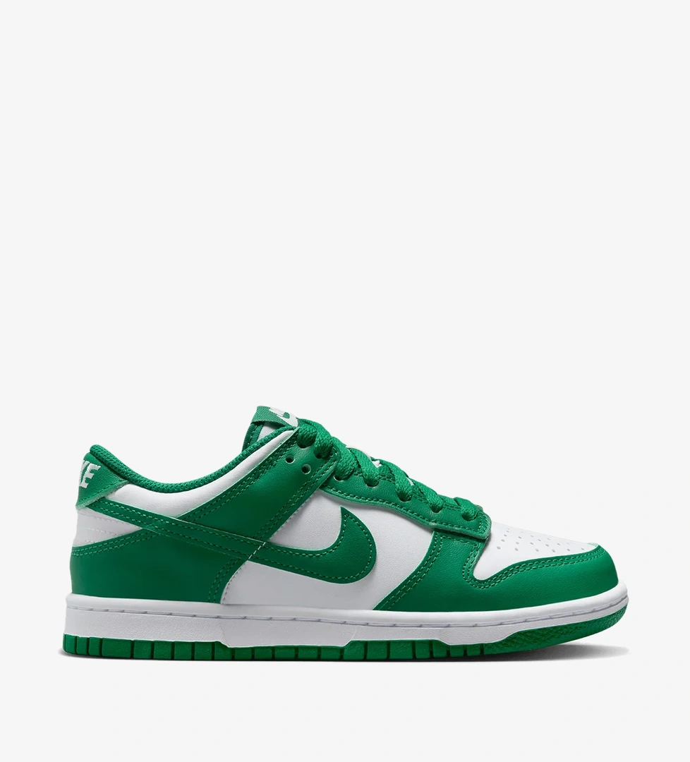 Nike Nike Dunk Low (gs) model görseli
